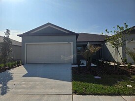 9872 Dancing Goat Pl in Land O Lakes, FL - Building Photo