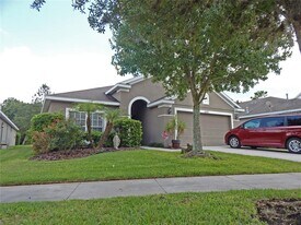 6433 Bridgecrest Dr in Fish Hawk, FL - Building Photo