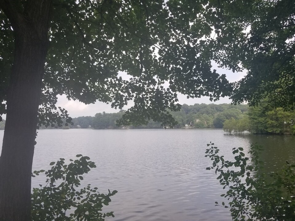 24 Pattison Ave in Dudley, MA - Building Photo