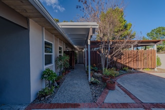 16703 Alginet Pl in Encino, CA - Building Photo - Building Photo