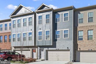 6244 Folly Ln in Alexandria, VA - Building Photo