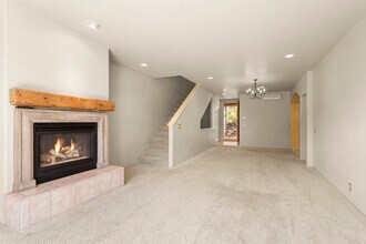 306 Wild Spring Ln in Basalt, CO - Building Photo - Building Photo