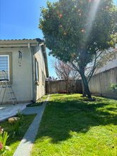 4155 Horatio Way in Fremont, CA - Building Photo - Building Photo