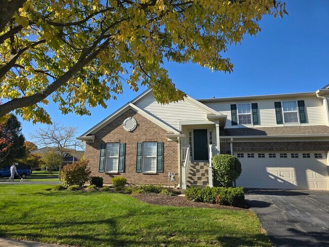 1554 Millbrook Dr in Algonquin, IL - Building Photo - Building Photo