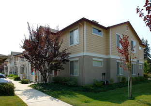 Santa Rosa Prospect in Santa Rosa, CA - Building Photo - Building Photo