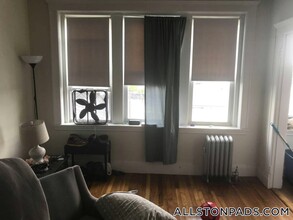 109 Brainerd Rd in Boston, MA - Building Photo - Building Photo
