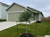 13819 Llama Pl photo'