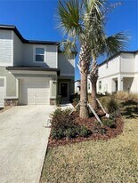 10211 Trumpet Honeysuckle Wy in San Antonio, FL - Building Photo