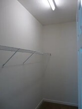 13719 Singleleaf Lane in Charlotte, NC - Building Photo - Building Photo