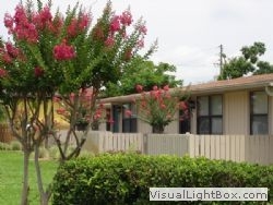 Heron Pointe in Jacksonville, FL - Foto de edificio - Building Photo