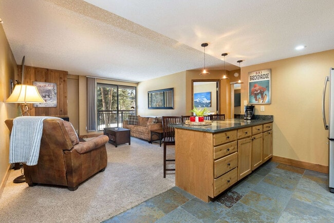 455 Village Rd, Unit ID1387669P in Breckenridge, CO - Foto de edificio - Building Photo