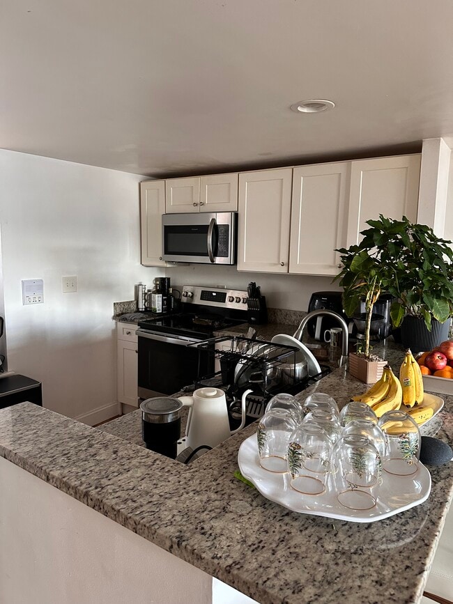 40 Medford St, Unit 2 in Chelsea, MA - Foto de edificio - Building Photo