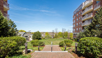 Longview Place in Waltham, MA - Foto de edificio - Building Photo