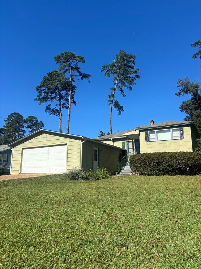 522 Collins Dr in Tallahassee, FL - Building Photo - Building Photo