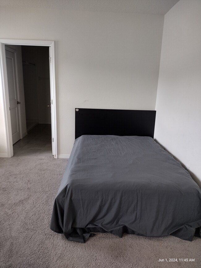 10857 Trailing Vine Dr in Tampa, FL - Foto de edificio - Building Photo