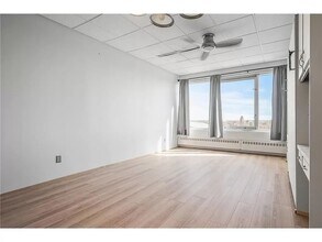 431 S 7th St in Minneapolis, MN - Building Photo - Building Photo