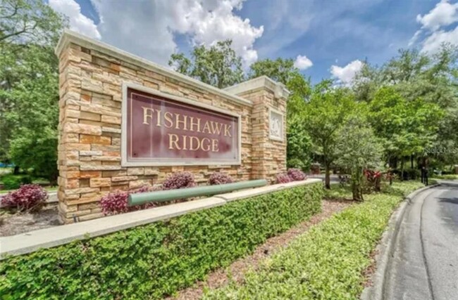 15840 Fishhawk Falls Dr in Lithia, FL - Building Photo - Building Photo