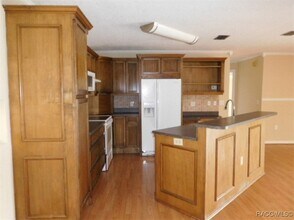 1032 S Bel Air Dr in Inverness, FL - Building Photo - Building Photo