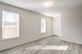3823 Lexington Grove Ct in Missouri City, TX - Building Photo - Building Photo