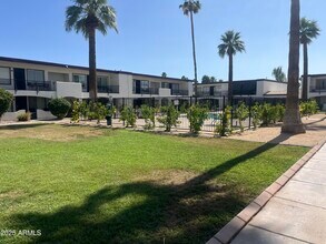 240 Old Litchfield Rd in Litchfield Park, AZ - Building Photo - Building Photo