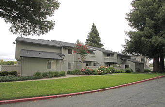 Walnut Grove Apartments in Santa Rosa, CA - Building Photo - Building Photo