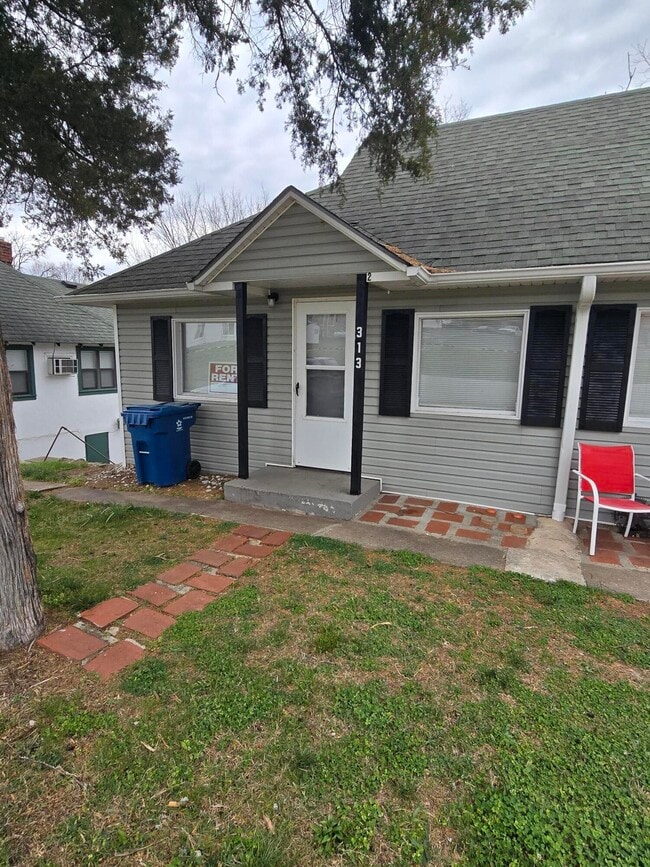 property at 313 Shadowrock Dr