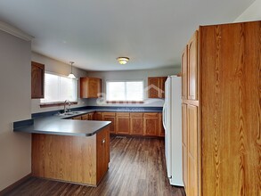 905 Mazalin Dr in Shorewood, IL - Building Photo - Building Photo
