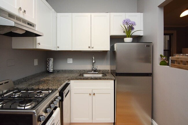 445 W Melrose St in Chicago, IL - Building Photo - Building Photo