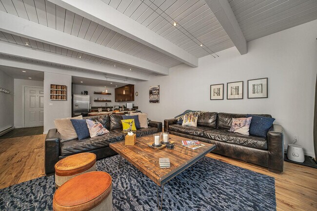 450 S Pine St in Telluride, CO - Building Photo - Building Photo