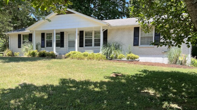 property at 294 Cathy Jo Dr