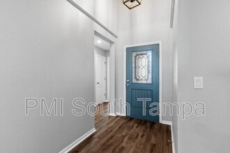 10602 Massimo Dr in Wimauma, FL - Building Photo - Building Photo