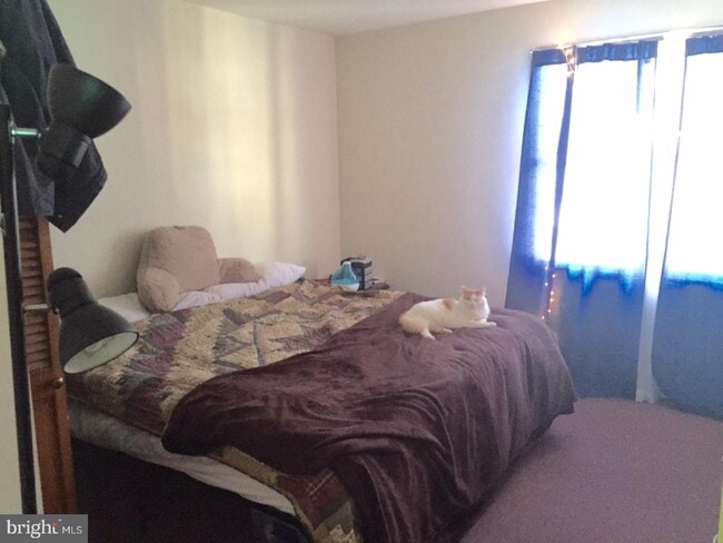 213 Laurel Ave in Glassboro, NJ - Building Photo - Building Photo