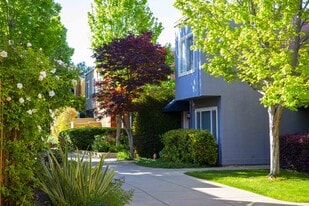Palm Terrace Condominium Rentals in Concord, CA - Building Photo