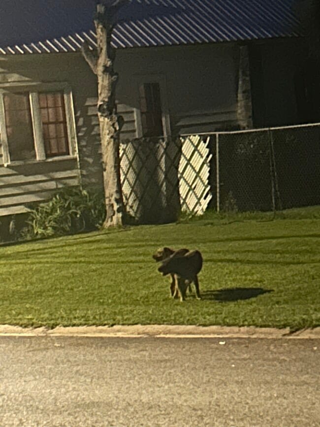 135 Persimmon St in Thomasville, GA - Foto de edificio - Building Photo