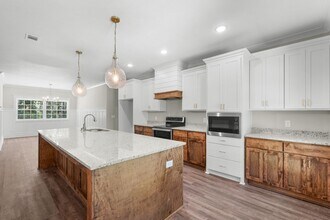 1253 E Hampton Dr in Statesboro, GA - Building Photo - Building Photo