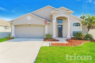 30843 Birdhouse Dr in Wesley Chapel, FL - Building Photo