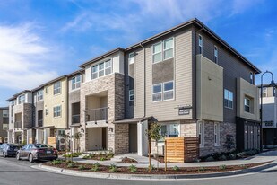 Twin Oaks in San Ramon, CA - Building Photo