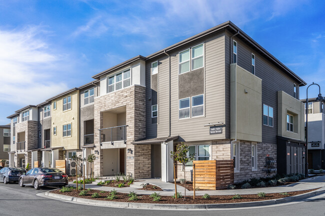 Twin Oaks in San Ramon, CA - Building Photo - Primary Photo