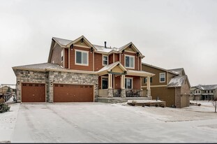 12932 Norway Maple St in Parker, CO - Building Photo