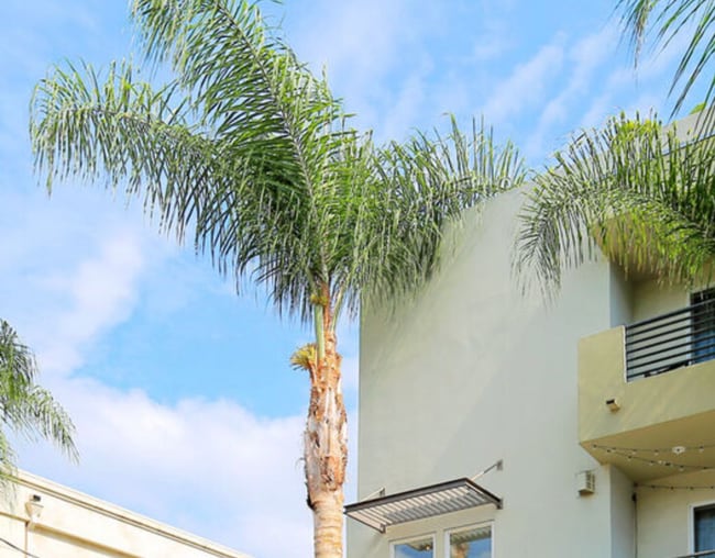 11851 Laurelwood Dr, Unit 112 in Studio City, CA - Foto de edificio - Building Photo