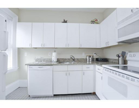 54 E Springfield St, Unit 3 in Boston, MA - Building Photo - Building Photo