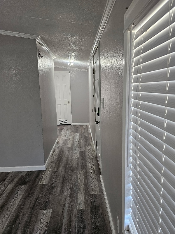 31 Cinnamon Ln in San Angelo, TX - Building Photo - Building Photo