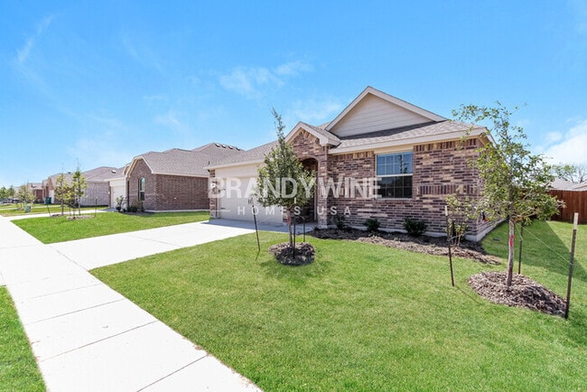 341 Wentworth Dr in Fate, TX - Building Photo - Building Photo