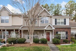 15554 Asterwind Ct in Charlotte, NC - Building Photo