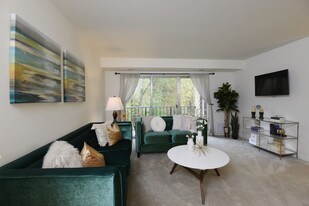 Village of Pine Run Apartments & Townhomes*