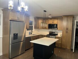 903 Porter St in Lemont, IL - Building Photo