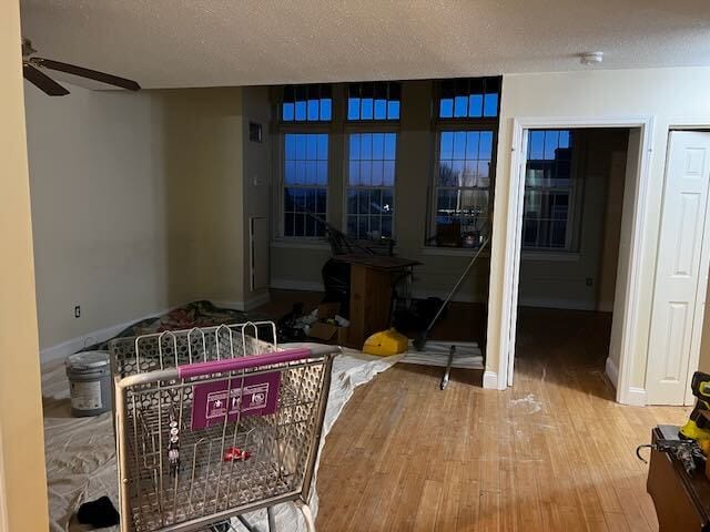 property at 56 St Joseph St