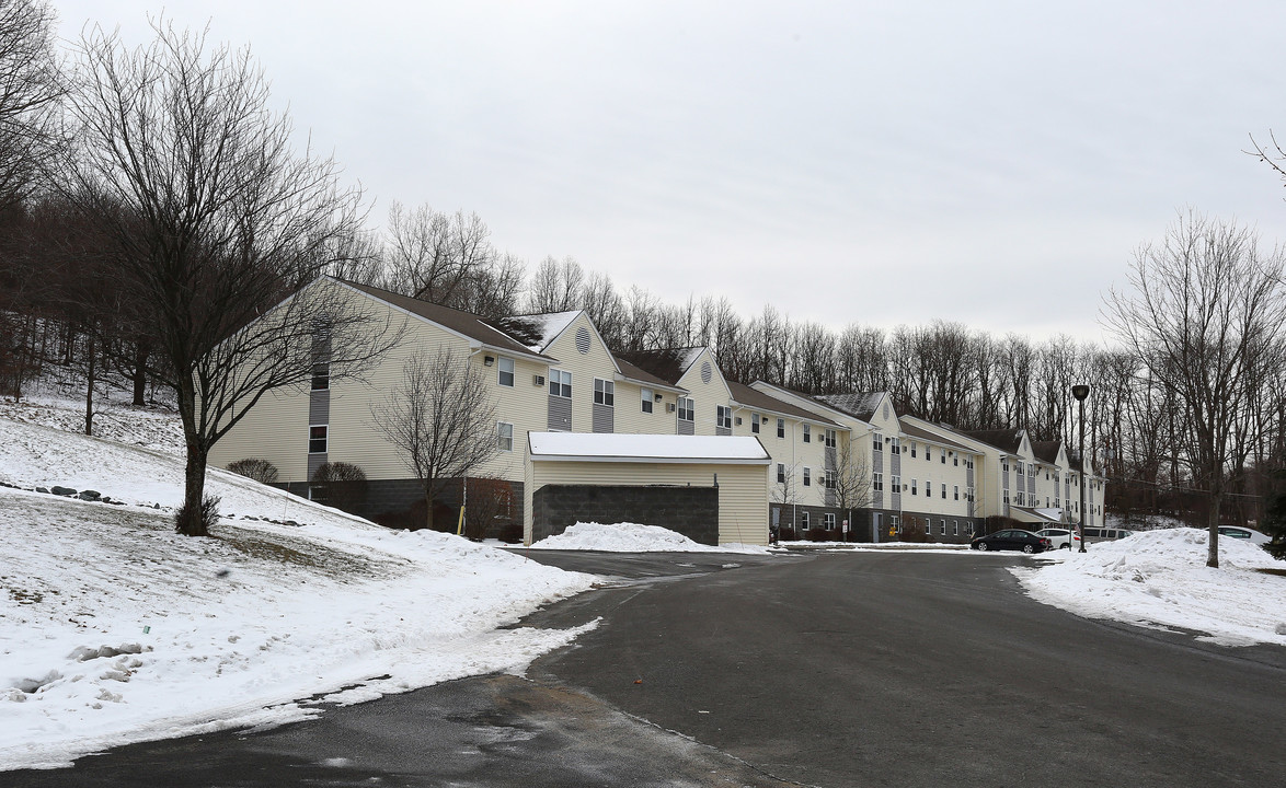 Diamond Rock Terrace Senior Apartments in Troy, NY - Building Photo