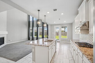 2641 Summer Indigo Trl in Houston, TX - Building Photo - Building Photo