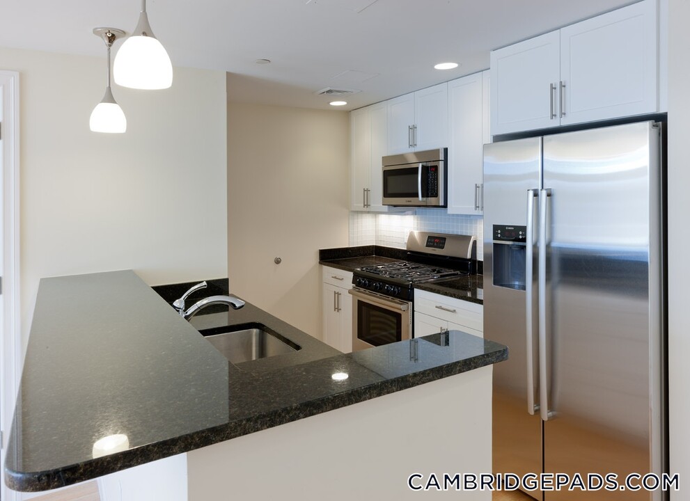 7 Cameron Ave in Cambridge, MA - Building Photo